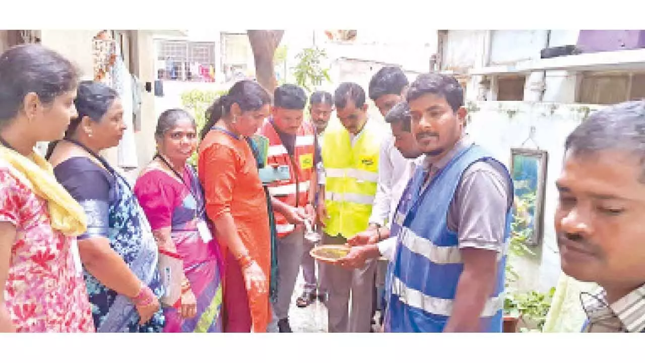 GHMC increases efforts to fight mosquitoes
