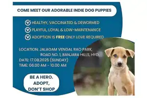 GHMC to hold puppy adoption event on August 17