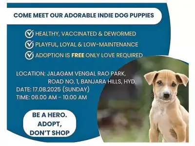GHMC to hold puppy adoption event on August 17