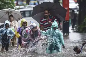 Heavy rains cause disruptions in Telangana, schools closed in several districts