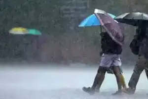 Heavy rains cause flooding in Warangal, disrupting daily life
