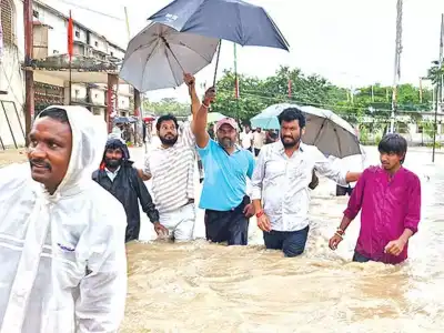 Heavy rains cause major damage in Adilabad