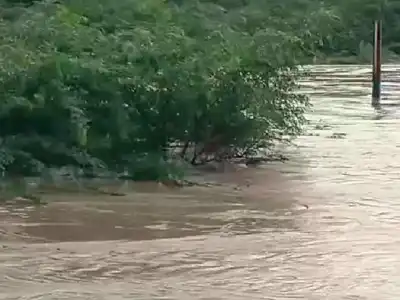 Heavy rains cause transport delays in Alampur
