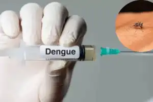 India Almost Finishes Final Dengue Vaccine Trials