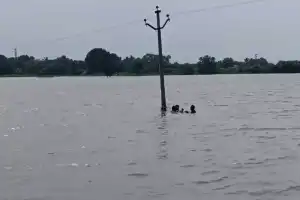 Lineman Restores Power in Siddipet Pond Despite Bad Conditions