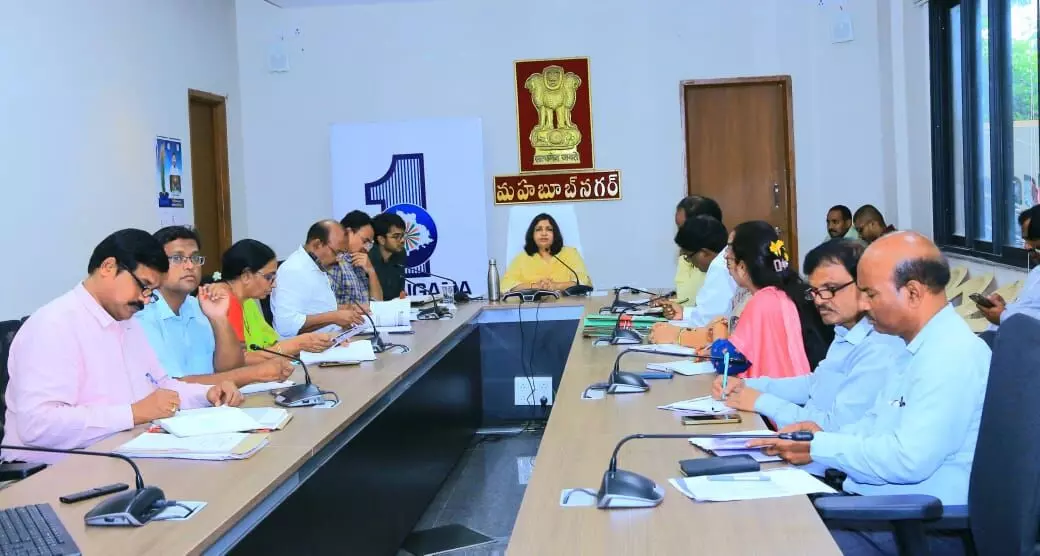 Mahabubnagar launches 'Friday Dry Day' to fight dengue and malaria