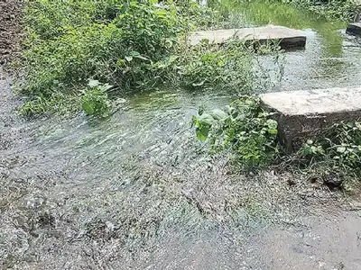 Officials ignore overflowing Kaddam project canal