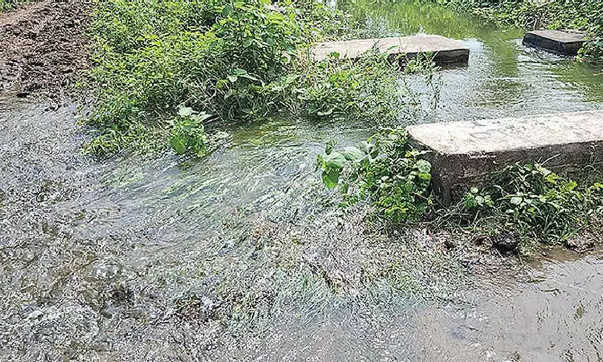 Officials ignore overflowing Kaddam project canal