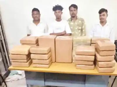 Police arrest 4 drug dealers, seize marijuana worth Rs 22.75 lakh