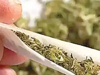 Police catch person with 16 kg of marijuana