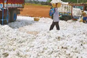 SKM criticizes decision to remove cotton import duty, calls for reversal