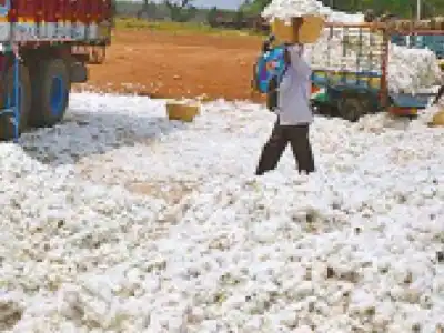 SKM criticizes decision to remove cotton import duty, calls for reversal