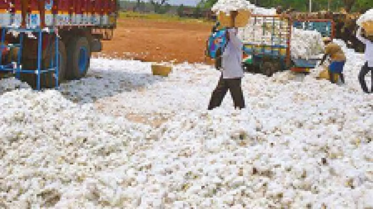 SKM criticizes decision to remove cotton import duty, calls for reversal
