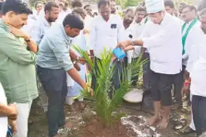 Sridhar Babu emphasizes growing palm oil