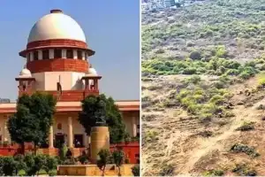 Supreme Court orders replanting trees in Kancha Gachibowli