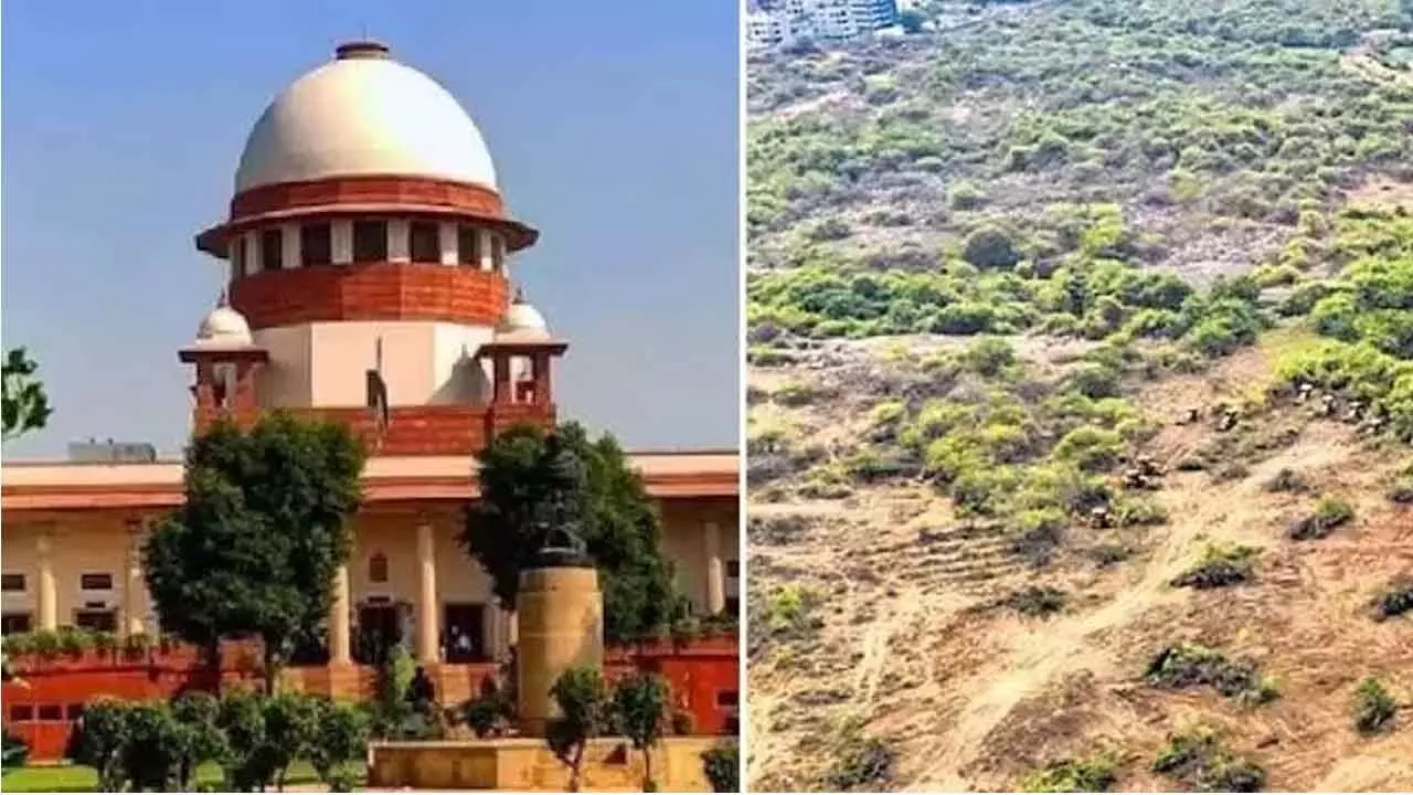 Supreme Court orders replanting trees in Kancha Gachibowli