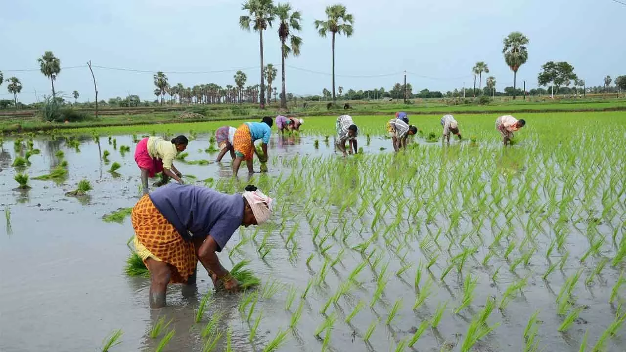 Telangana government updates Rythu Bima and changes eligibility rules