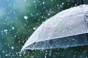 Telangana Rain Alert Details