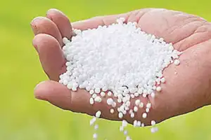 TFA asks government to ensure enough urea in the state