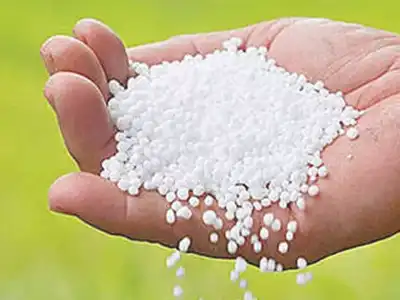 TFA asks government to ensure enough urea in the state