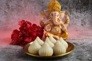 TGSPDCL updates rules for Ganesh festival