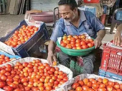 Tomato Prices Rise to ₹70 in Hyderabad Due to Crop Damage