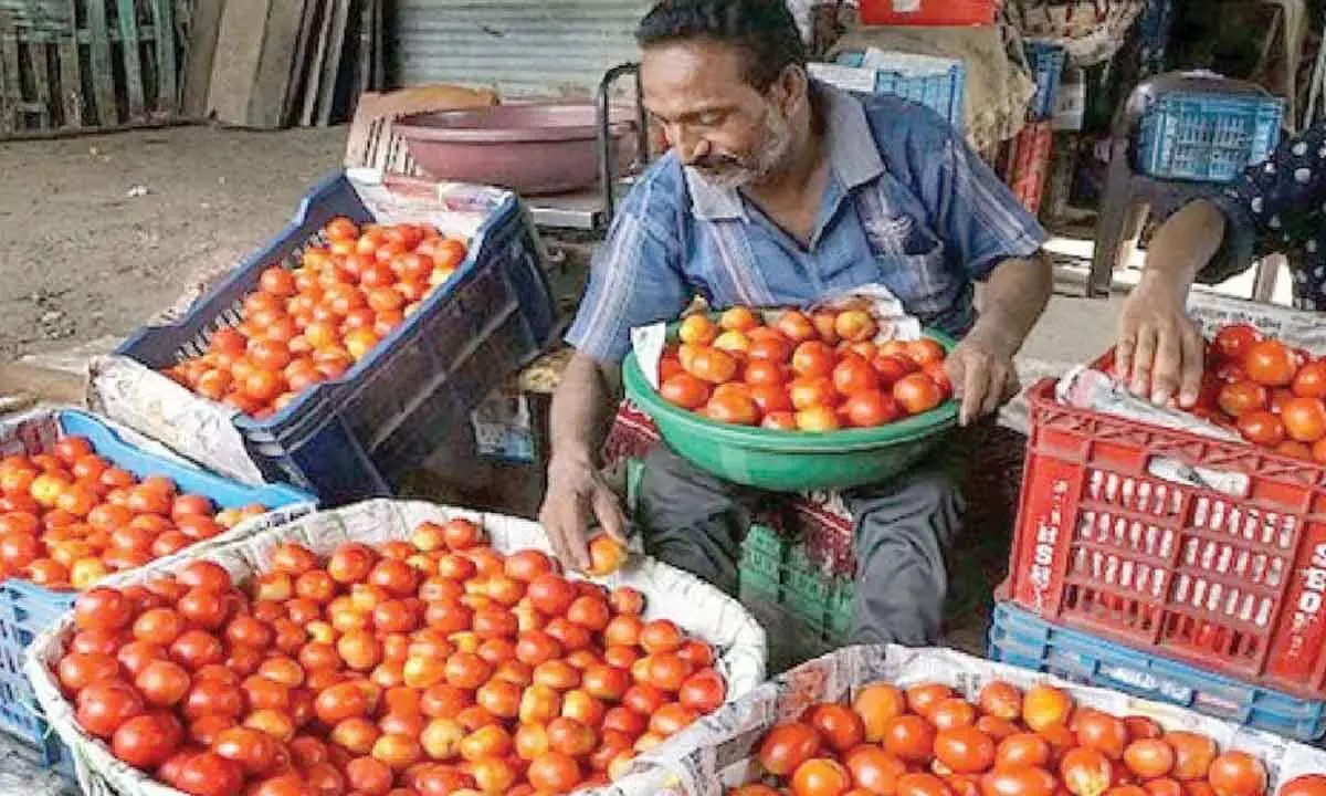 Tomato Prices Rise to ₹70 in Hyderabad Due to Crop Damage