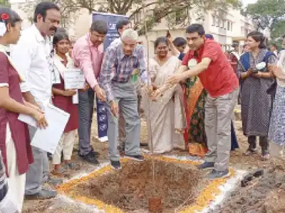 Tree planting campaign in Wyra constituency