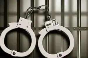 Two arrested for robbery at jewelry store