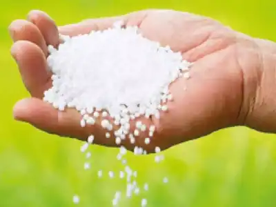 Urea use will increase in August says Minister Tummala