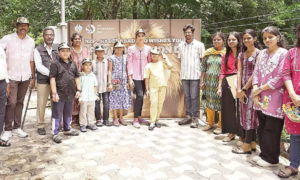 Zoo celebrates World Lion Day