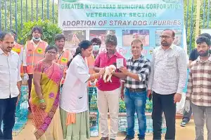 16 stray animals adopted in GHMC event