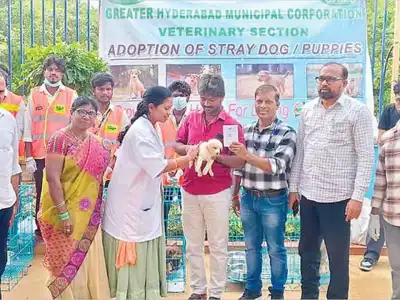16 stray animals adopted in GHMC event