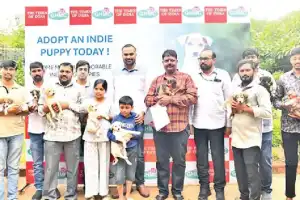 22 puppies find new homes in GHMC adoption event