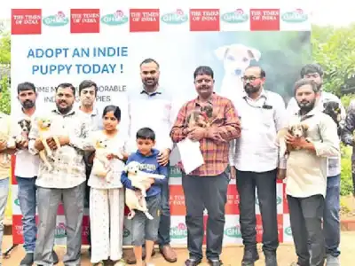 22 puppies find new homes in GHMC adoption event