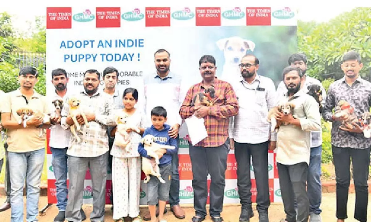 22 puppies find new homes in GHMC adoption event