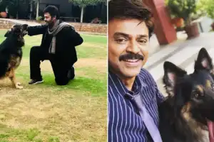 Actor Venkatesh Shares Emotional Farewell to Pet Dog on Twitter