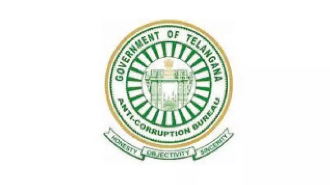 Electricity official jailed for having too much wealth