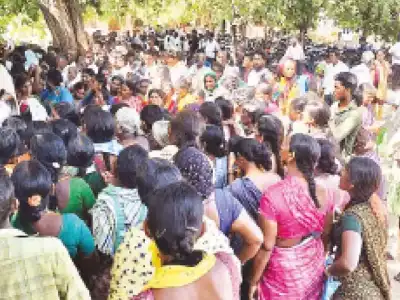 Farmers receive two bags of urea after three protests in one day