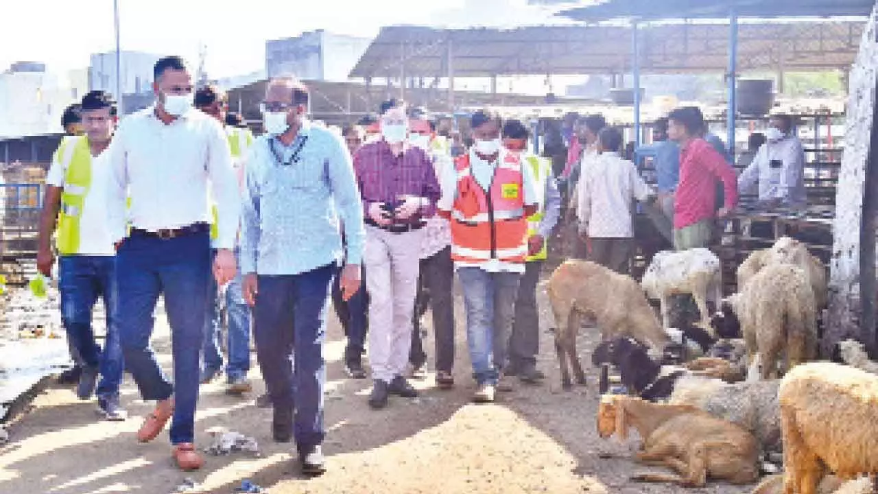GHMC to improve hygiene facilities at Jiyaguda slaughterhouse soon
