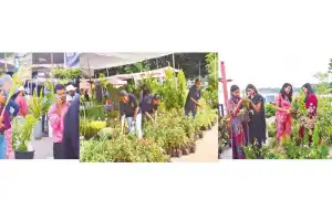 Hyderabad’s nursery fair begins, showcasing green beauty