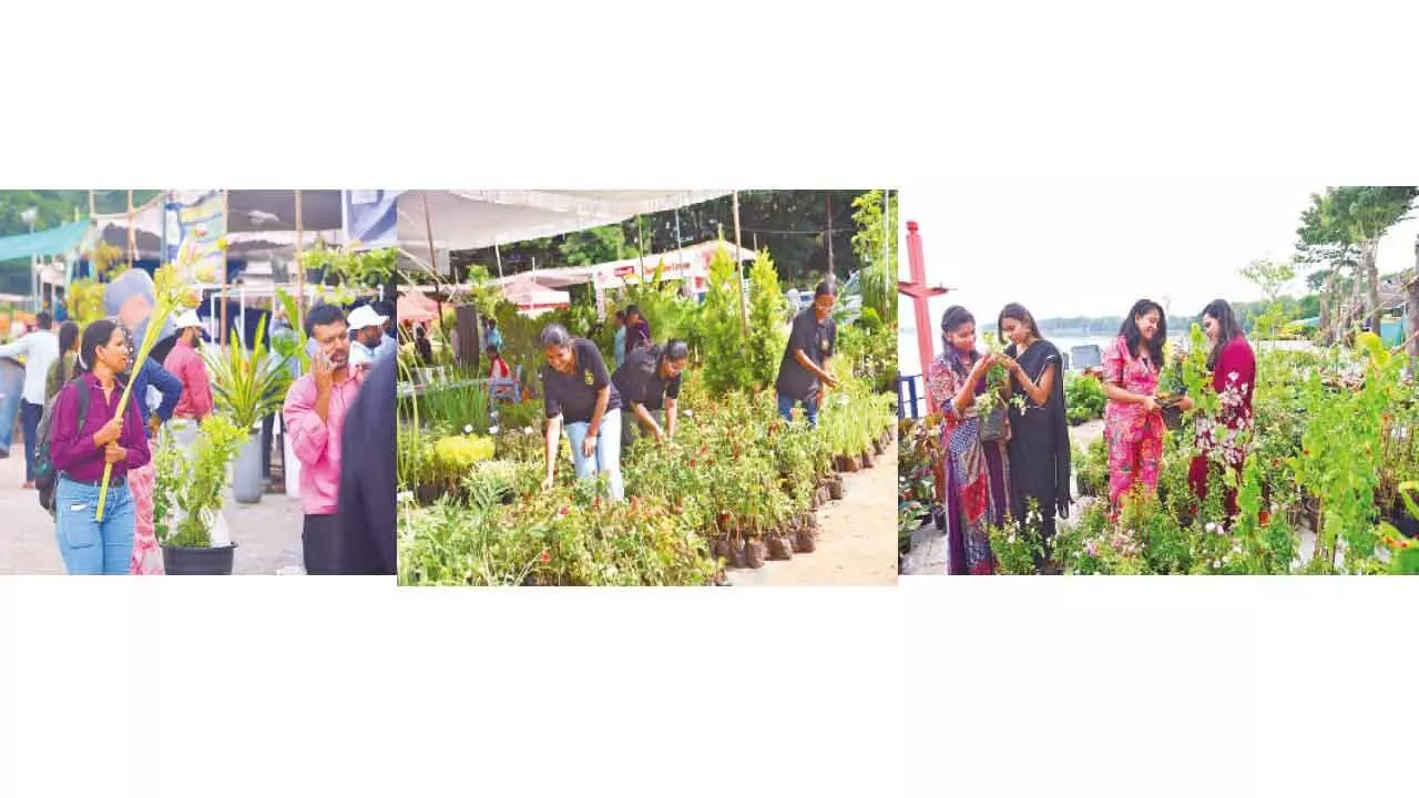 Hyderabad's nursery fair begins, showcasing green beauty