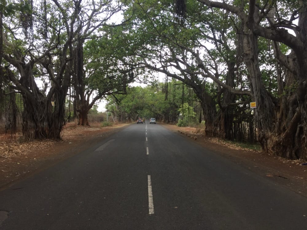 Major Boost for Connectivity: NH-163 Bijapur-Hyderabad Moinabad Highway Widening Cleared