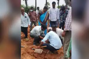 Intercropping Can Increase Farmers’ Earnings: Jitesh V. Patil