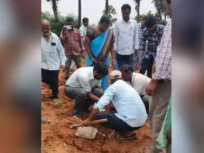 Intercropping Can Increase Farmers’ Earnings: Jitesh V. Patil