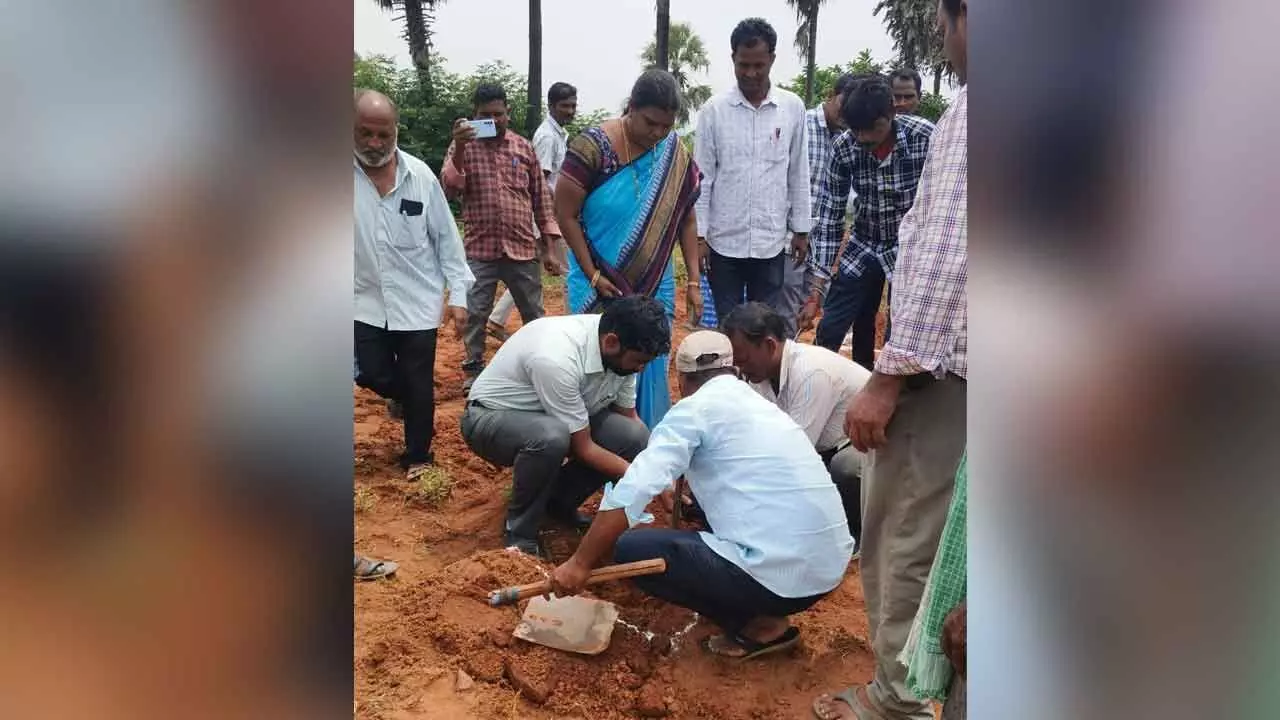 Intercropping Can Increase Farmers' Earnings: Jitesh V. Patil