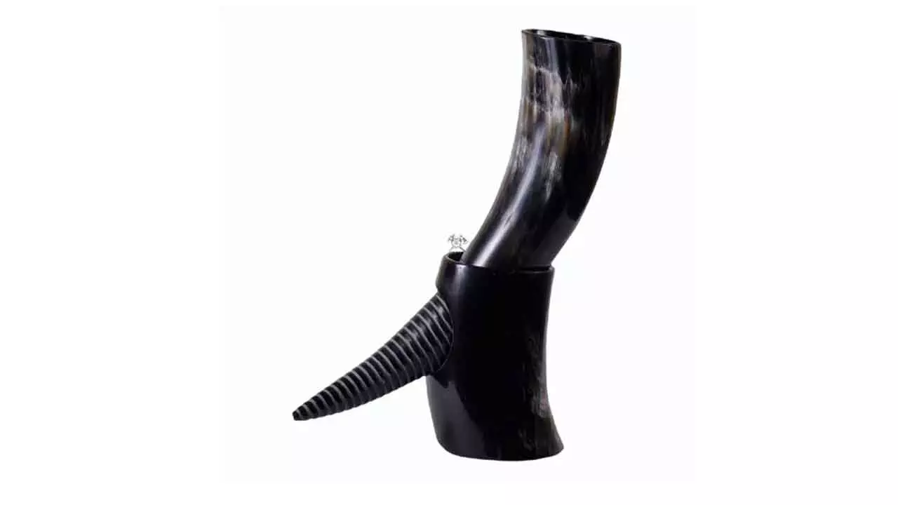 Mason jailed for selling blackbuck horns