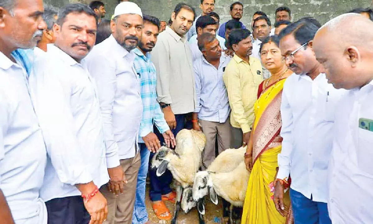 New weekly market at Kaverammepet helps mutton sellers