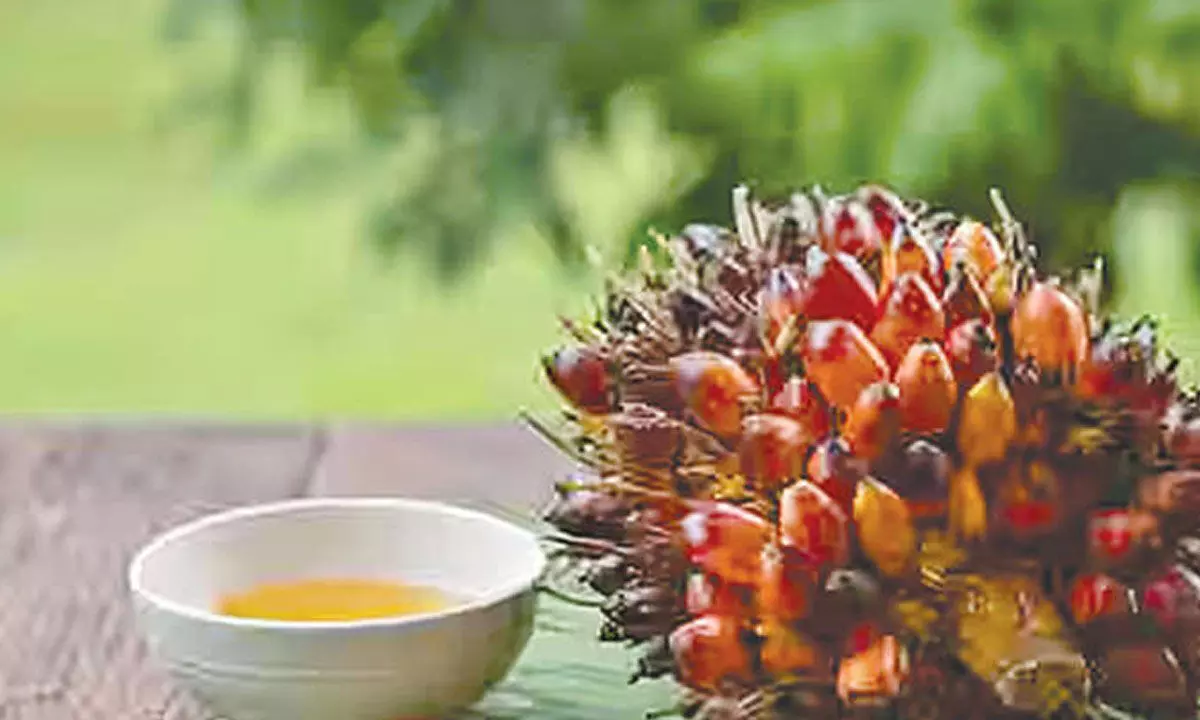 Revanth to open palm oil factory in Siddipet soon