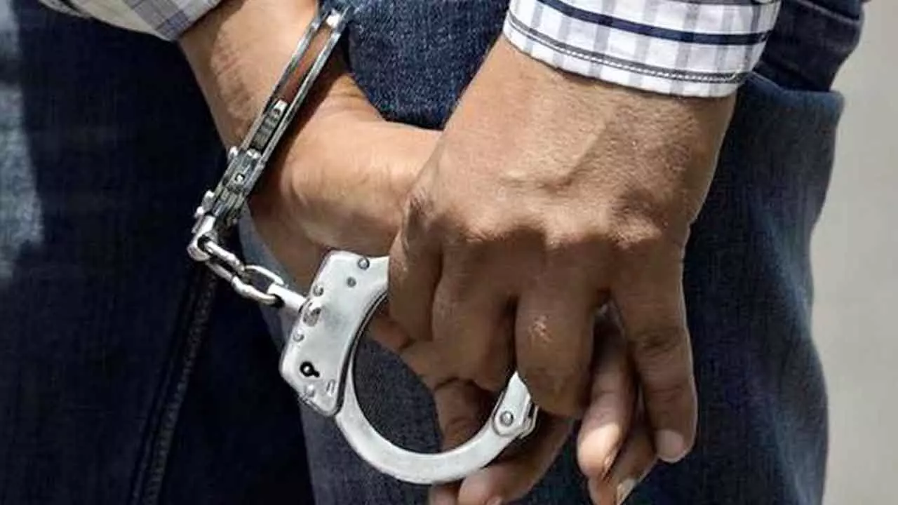 Seven people arrested for theft